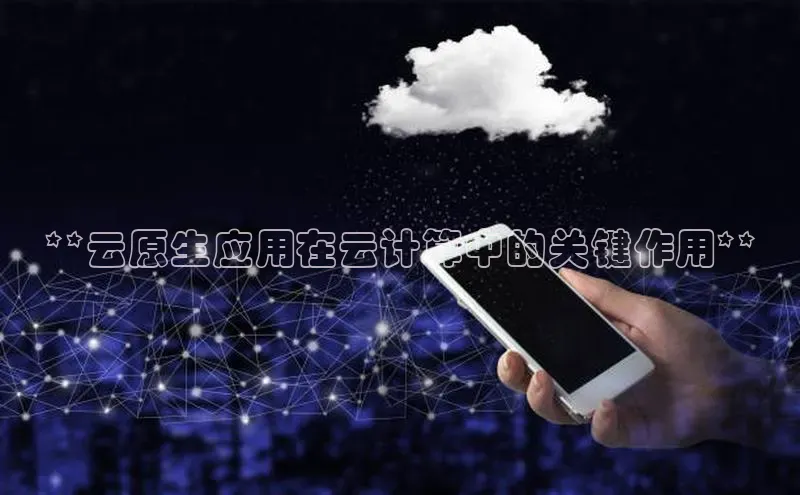 jinnianhui金年会登录入口华策影视**云原生应用在云计算中的关键作用**