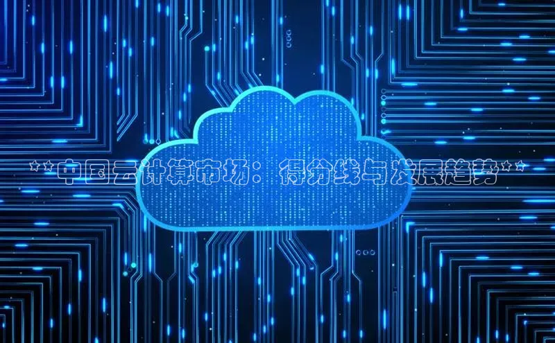 金年会官网登录入口百度手机输入法**中国云计算市场：得分线与发展趋势**