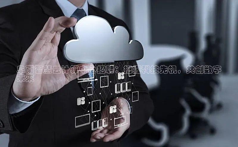 金年会电子游戏app官方百度人工翻译阜南智慧云计算中心招聘：把握科技先机，共创数字
未来