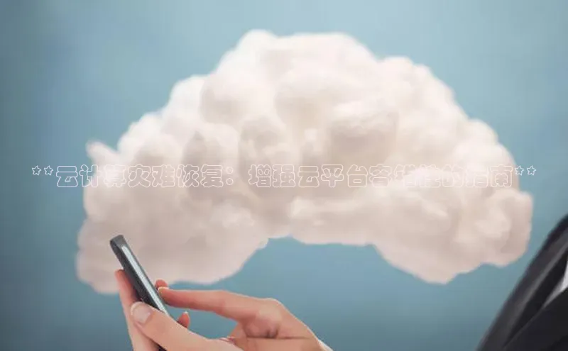 金年会哇咔哇咔文化**云计算灾难恢复：增强云平台容错性的指南**
