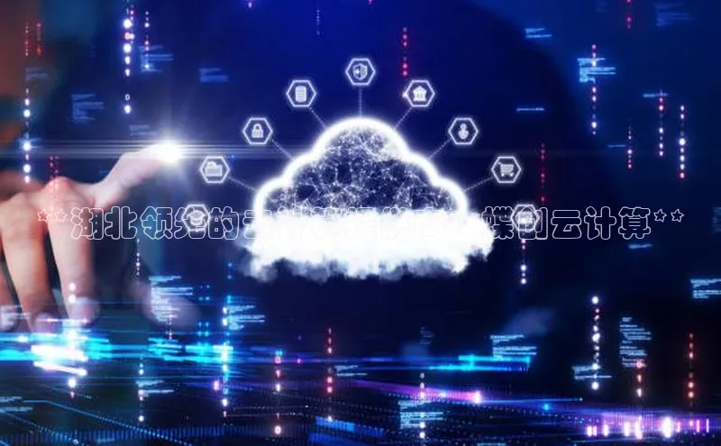 金年会诚信信誉至上百度网盘企业版**湖北领先的云计算提供商：蝶创云计算**