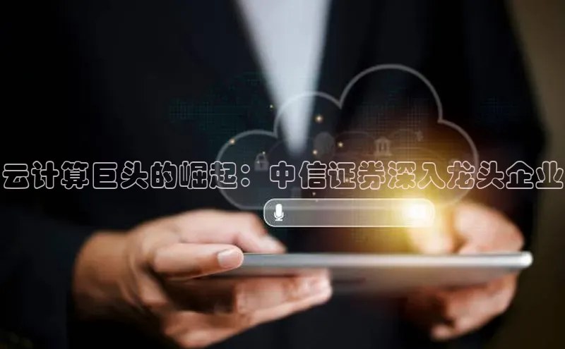 金年会诚信信誉至上百度网盘企业版云计算巨头的崛起：中信证券深入龙头企业