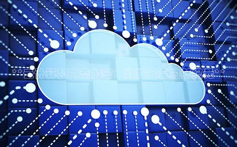 金年会金字招牌诚信至上龙年知乎**云计算和同态加密：数据安全的新纪元**