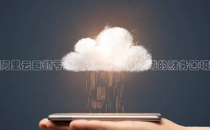 金年会 金字招牌诚信至上ARGA公司阿里云巨额亏损：深入云计算领域的财务困境