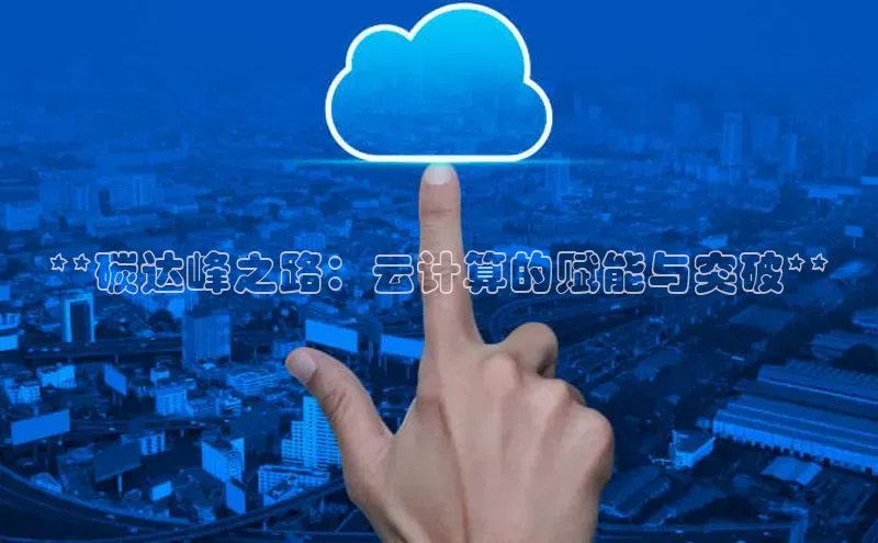 金年会金字招牌在线入口慧博云通**碳达峰之路：云计算的赋能与突破**